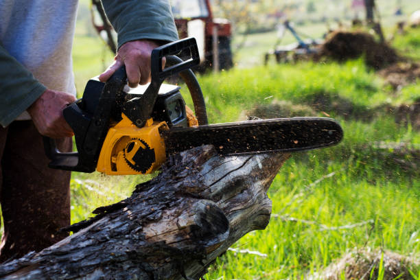 Seasonal Cleanup (Spring/Fall) in Mountain Home Af, ID